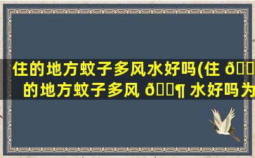 住的地方蚊子多风水好吗(住 🐧 的地方蚊子多风 🐶 水好吗为什么)